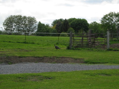 IMG_3362.JPG