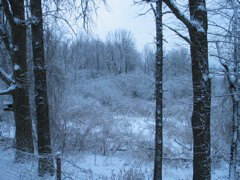 IMG_3287