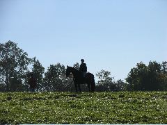IMG_2212