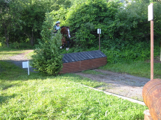 IMG_2849.JPG
