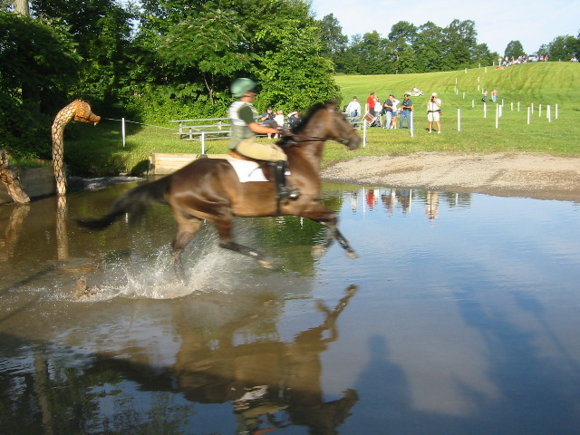 IMG_2851.JPG