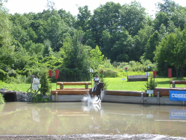 IMG_2855.JPG