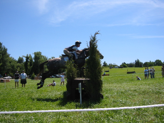 IMG_2895.JPG