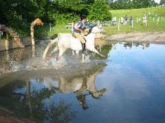 IMG_2846.JPG