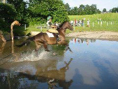IMG_2851.JPG