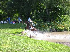 IMG_2856.JPG