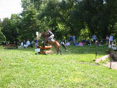 IMG_2860.JPG