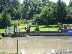 IMG_2866.JPG