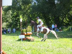 IMG_2869.JPG