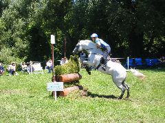 IMG_2881.JPG