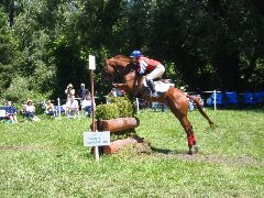 IMG_2885.JPG