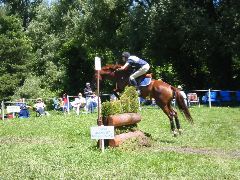 IMG_2889.JPG