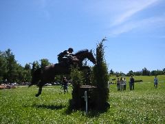 IMG_2892.JPG