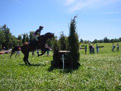 IMG_2893.JPG