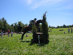 IMG_2894.JPG