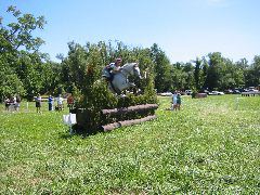 IMG_2896.JPG