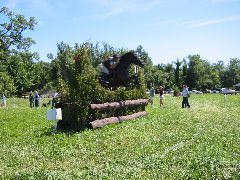 IMG_2901.JPG