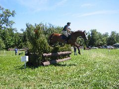 IMG_2902.JPG