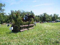 IMG_2903.JPG