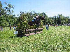 IMG_2904.JPG