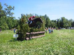 IMG_2905.JPG