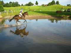 IMG_2837.JPG