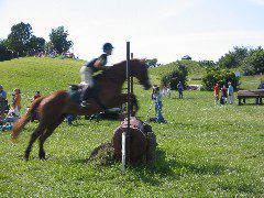 IMG_2911.JPG