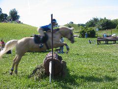 IMG_2913.JPG
