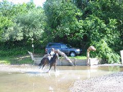 IMG_2914.JPG