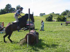 IMG_2915.JPG