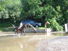 IMG_2916.JPG