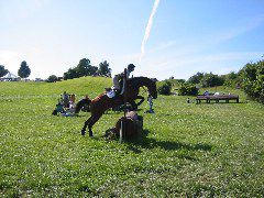 IMG_2917.JPG