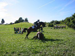 IMG_2921.JPG