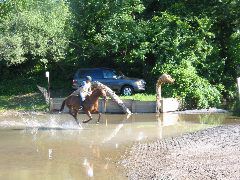 IMG_2922.JPG