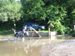 IMG_2924.JPG