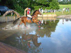 IMG_2841.JPG