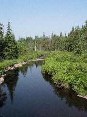 IMG_0857