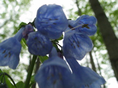 IMG_3068.JPG