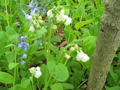 IMG_3069.JPG