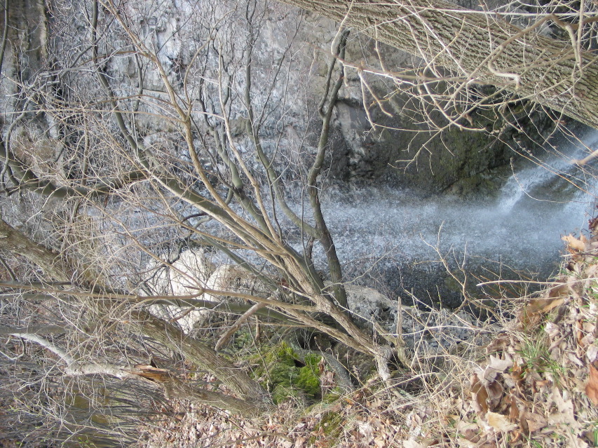 IMG_1610.JPG