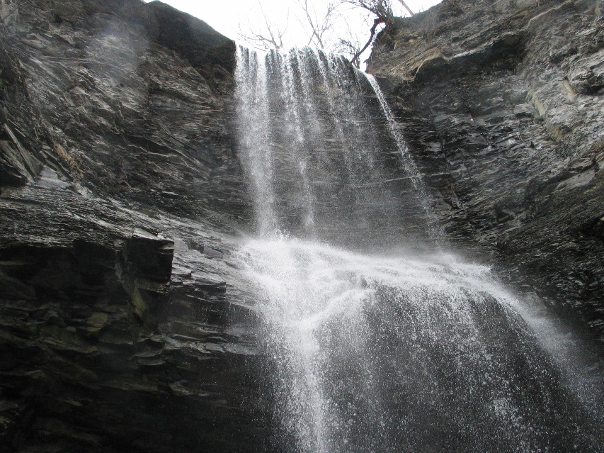 IMG_1625.JPG