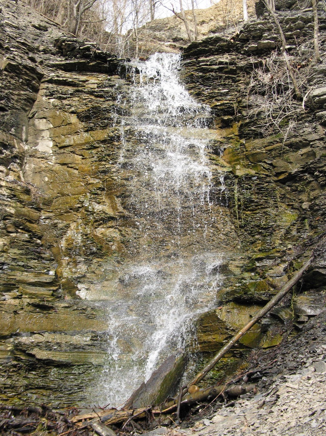 IMG_1631.JPG