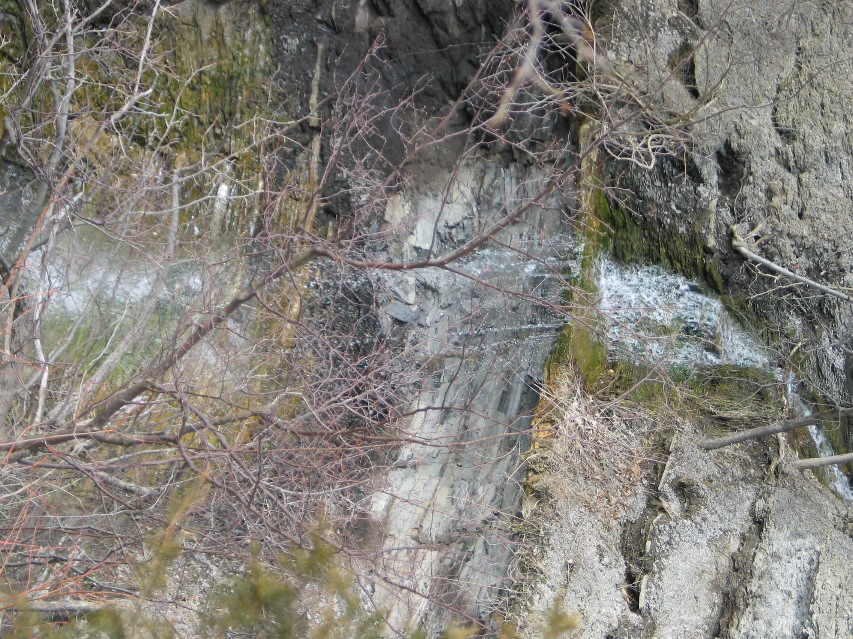 IMG_1612.JPG