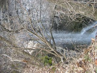 IMG_1610.JPG