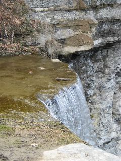IMG_1611.JPG