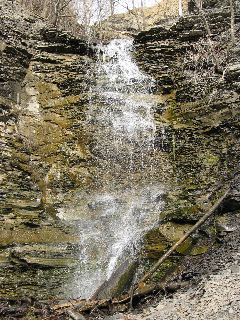 IMG_1631.JPG