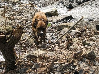 IMG_1632.JPG