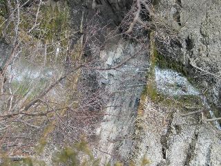 IMG_1612.JPG