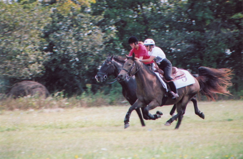 Race_01