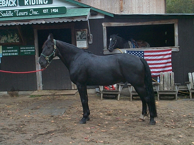 Goliath_4